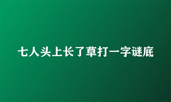 七人头上长了草打一字谜底