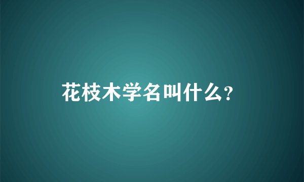 花枝木学名叫什么？