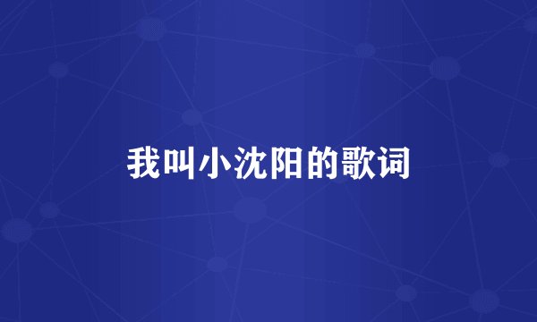 我叫小沈阳的歌词