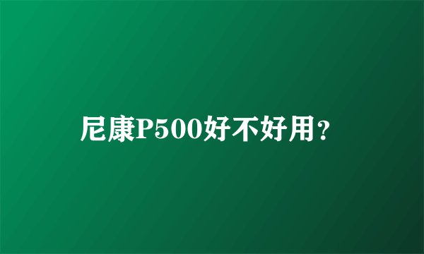 尼康P500好不好用?