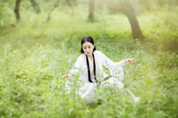 布库里雍顺的祖先是谁