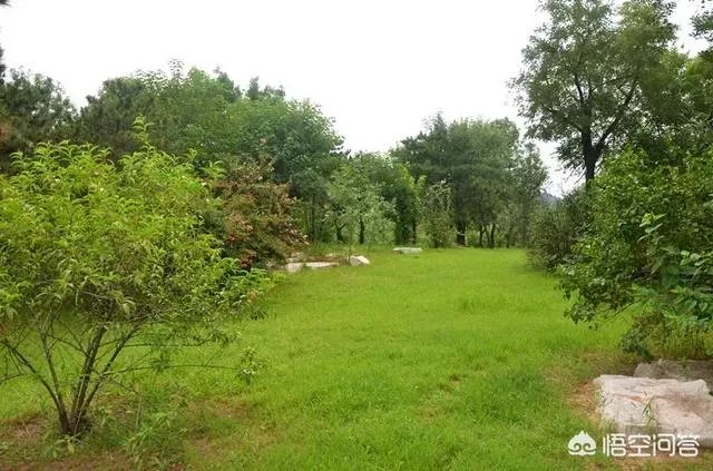 潍坊湿地公园在哪里？有多大？