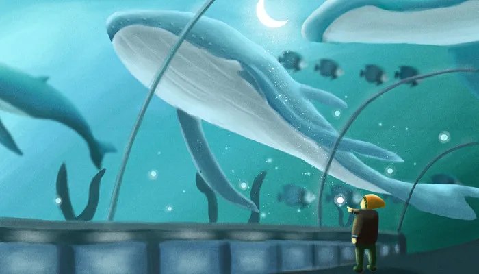 北京海洋馆门票价格 北京海洋馆门票价格是多少