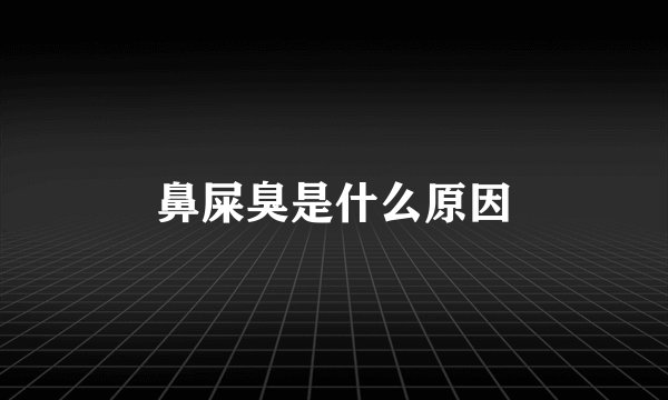 鼻屎臭是什么原因