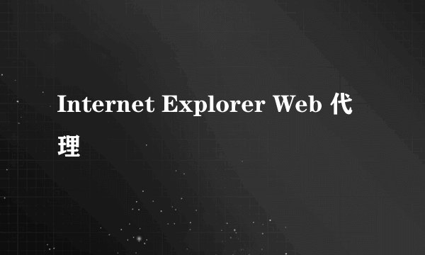 Internet Explorer Web 代理