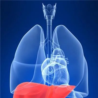 甲肝减毒活疫苗可以补打吗