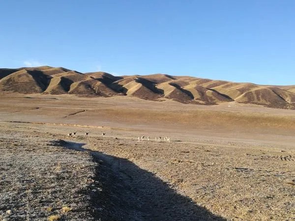 途观1.4T的，自驾游怎么样