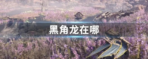 黑角龙在哪