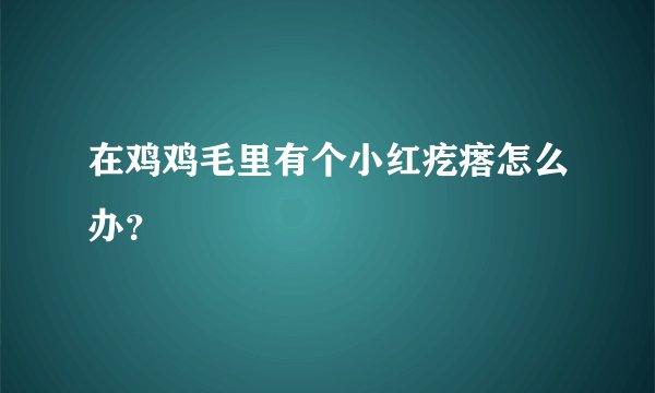 在鸡鸡毛里有个小红疙瘩怎么办？