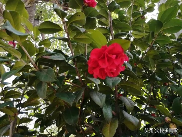 妈妈用身体给高考儿子释放压力