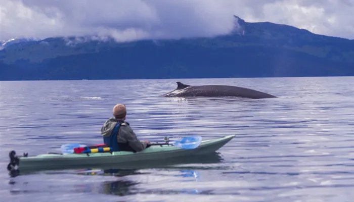 can是哪个国家的简称