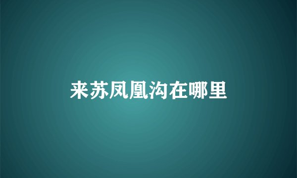 来苏凤凰沟在哪里