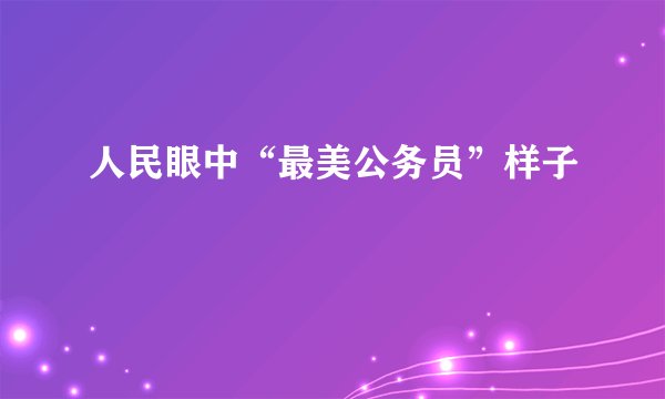 人民眼中“最美公务员”样子