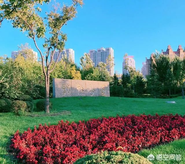 哈尔滨群力新区有哪些公园值得推荐?为什么?