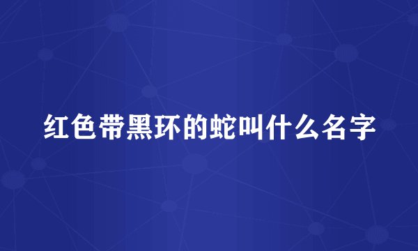 红色带黑环的蛇叫什么名字