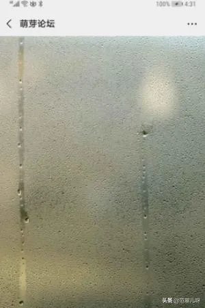 萌芽论坛怎么投稿?