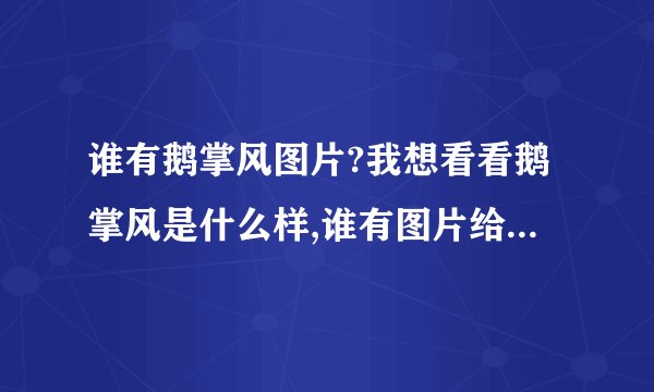 谁有鹅掌风图片?我想看看鹅掌风是什么样,谁有图片给我发过来好吗?