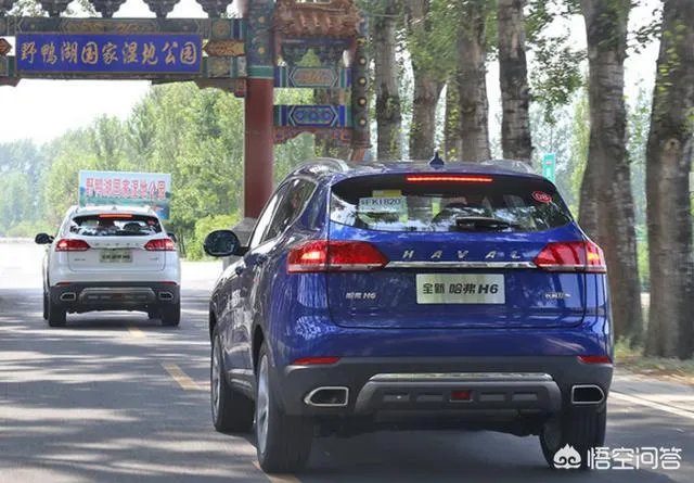 国产suv排名第一是哪个牌子?