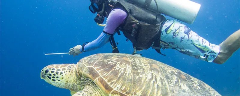 西太平洋有哪些国家 西太平洋包括哪些国家