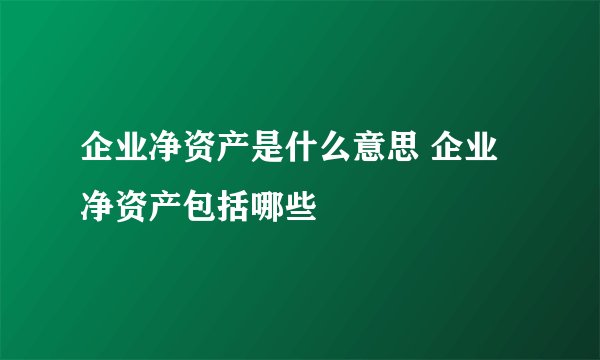 企业净资产是什么意思 企业净资产包括哪些