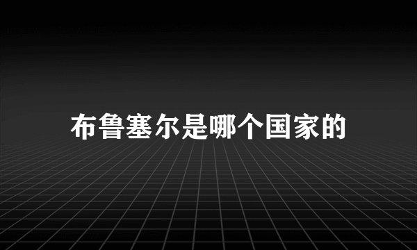 布鲁塞尔是哪个国家的