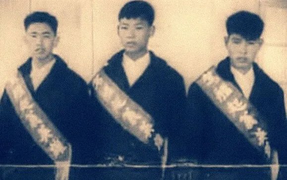 吴文献事件的结果