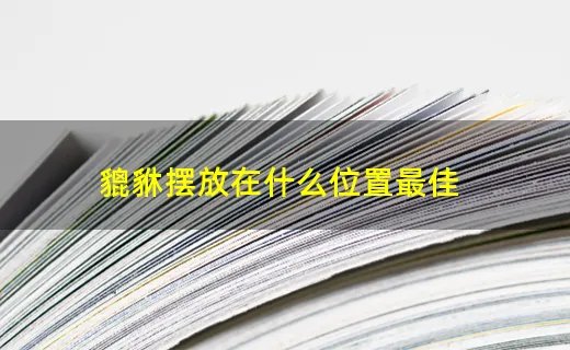 貔貅摆放在什么位置最佳