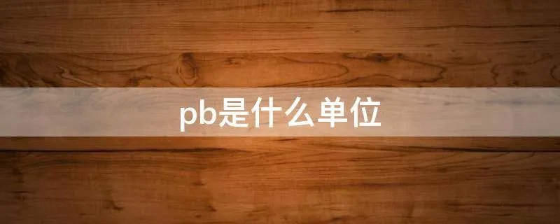 pb是什么单位