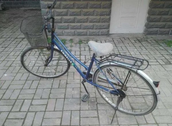 2020自行车品牌排行榜_十大自行车品牌大全