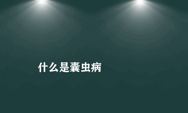 
    什么是囊虫病
  