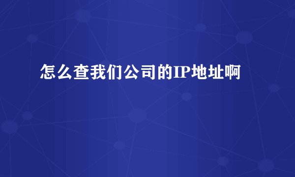 怎么查我们公司的IP地址啊