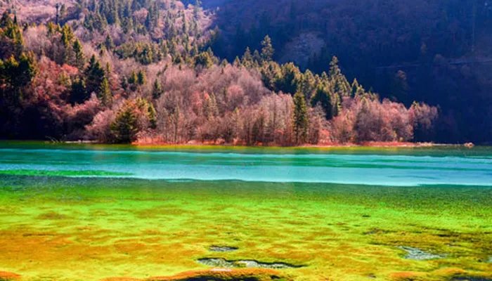 九寨沟位于哪个省哪个市