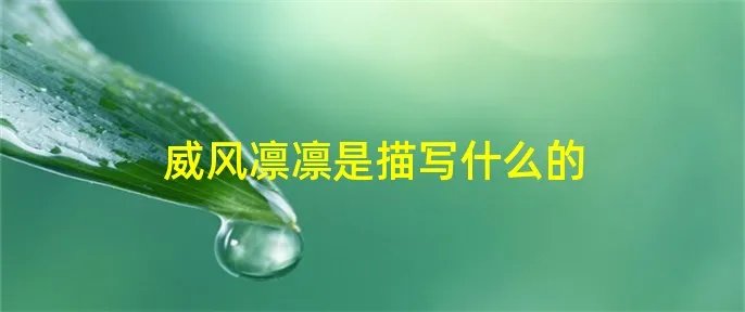 威风凛凛是描写什么的