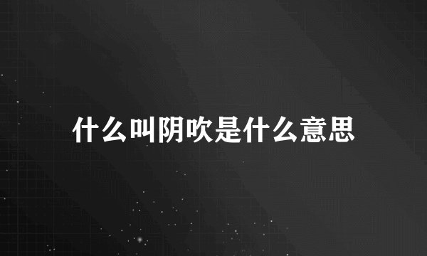 什么叫阴吹是什么意思