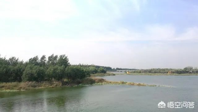 潍坊湿地公园在哪里？有多大？