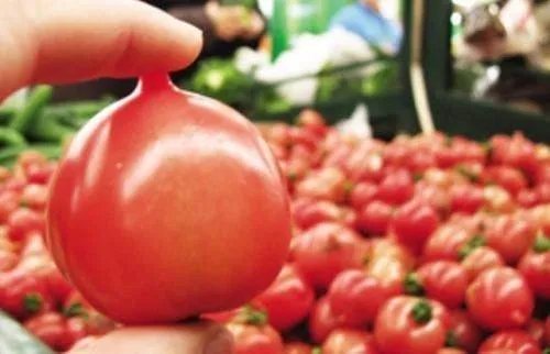 小番茄有小尖尖是什么原因