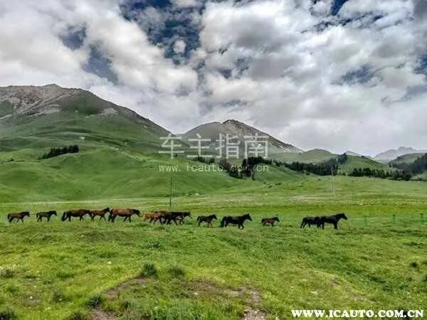 独库公路是217国道吗