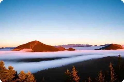 名人对屈原的评价?