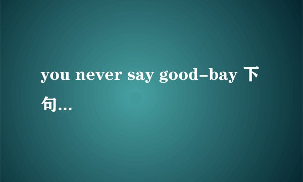 you never say good-bay 下句是啥？什么意思谢谢了，大神帮忙啊