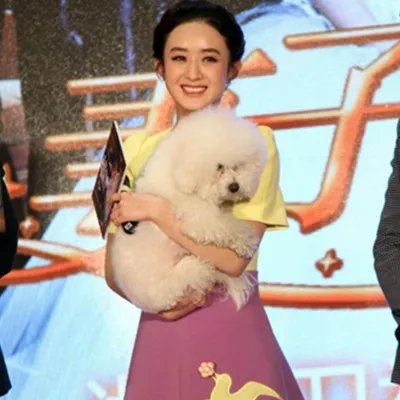 关智斌赵丽颖关系好吗？ 两人多次合作互相称赞