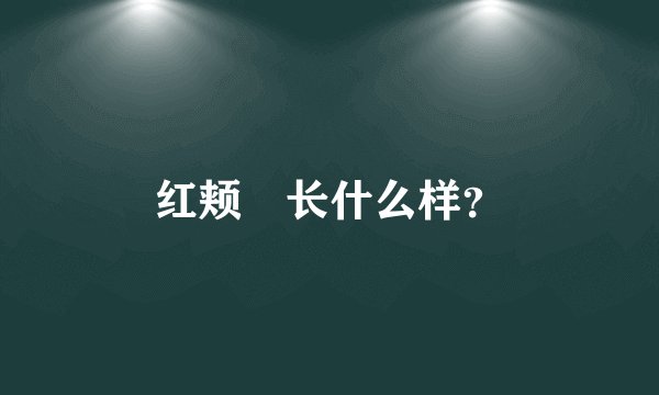 红颊獴长什么样？