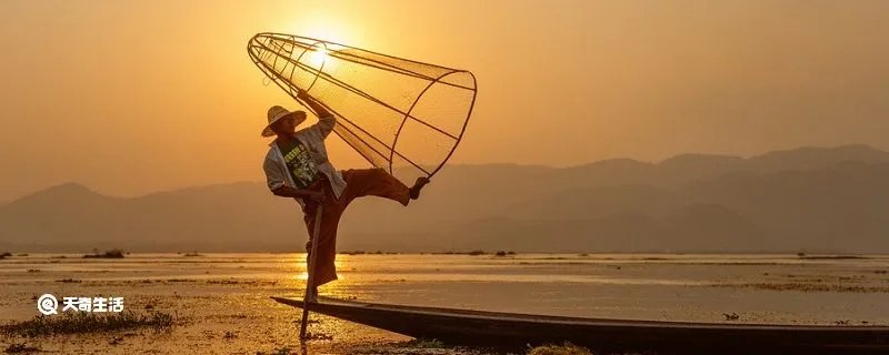 江上渔者古诗的意思和注释