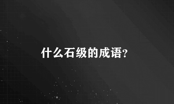 什么石级的成语？