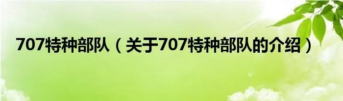 707特种部队（关于707特种部队的介绍）
