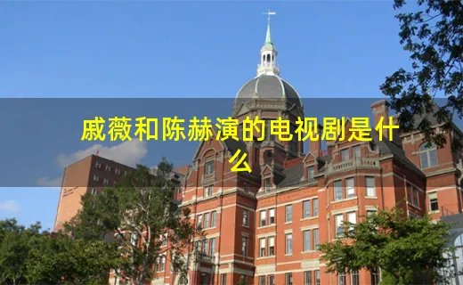 戚薇和陈赫演的电视剧是什么