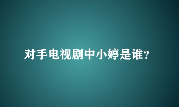 对手电视剧中小婷是谁？