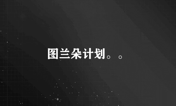 图兰朵计划。。