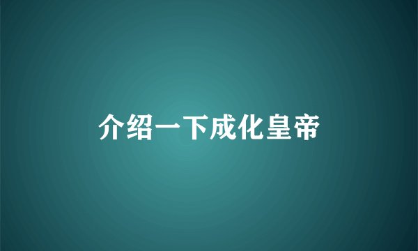 介绍一下成化皇帝
