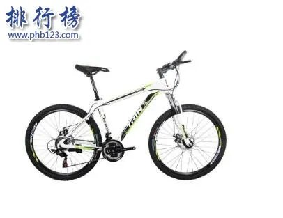 山地自行车十大品牌排行榜:凤凰、永安上榜 第4美国品牌