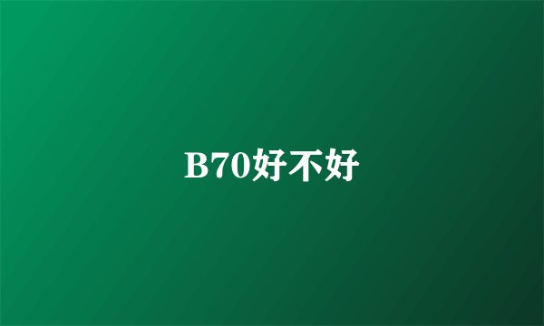 B70好不好